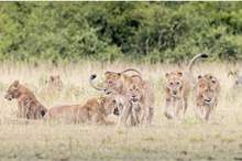 5cd3d9edd4375085728b461d