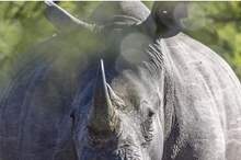 5cd40d1dd43750f7728b4649