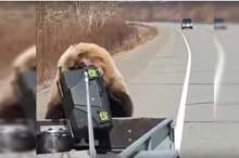 5cd6da58d43750a64f8b462c