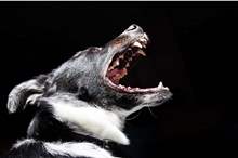 5cd562aa95a597903a8b45e5