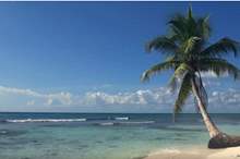 5cd2f3ea95a5979c7d8b45c4