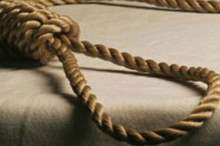 feac9e4e4d36b312240a4a5131b7687b