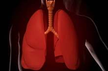 5cd28f7595a597c6208b4622-jpg-17257852509005740