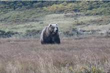 5cd985f2d43750296b8b45c3