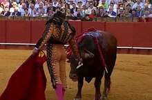 13436978-7023193-image-m-54_1557747633609