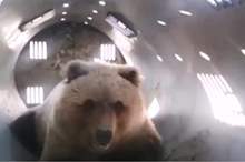 5cdacaa295a5979b218b4591