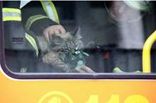 5cdad74dd43750b05c8b45a7