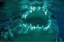 5cdbd8cad4375046698b4628