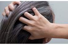 tbl_articles_article_15126_84152f62d1c-feed-40e2-8ebf-576a039206c7