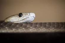 47b60bb3-dfbb-4e35-924c-6407665ee104_16x9_1200x676