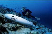 5cdd657895a597ee5d8b4611