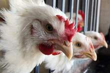 520191495316379072984