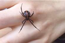 5cdd77a7d4375099328b4596