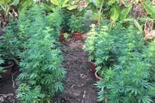 7e0605a5-9bd6-4b41-b074-5f063bc8377c