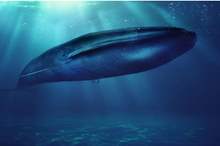 5ce28cfe95a597eb318b4577