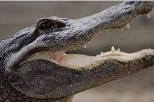 5ce26dfdd43750dd328b459a