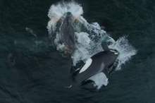 5cc859f395a59795198b4587