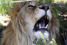 DdUl3avpo1oIDPW6mpOwjZcrsQeg16gQvTmt5TNu