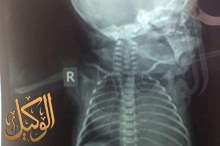 58772317_2241647972587854_2472975085942603776_n