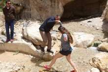 main_image5ccb0cd03588e