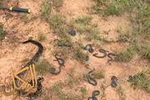 c58c7ee9-3f82-470e-b820-1e3901e4cf88 (1)