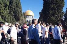 1f3b50e34702cdffc05ae180e6be958e4417b5de