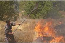 main_image5ce812e14fbc5