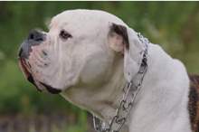 5ce552ef95a59771078b45f3