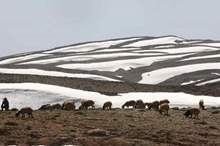 Doc-P-591013-636943864170233895