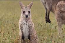 5ce6b074d43750aa0e8b457e