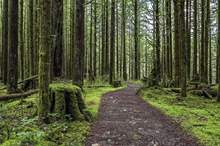 4ETF3GZR3NA3RDDW23XDRBKKCI