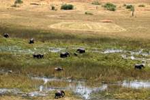 1da21fbb-1f09-4faf-a5cd-50cf84631b1c