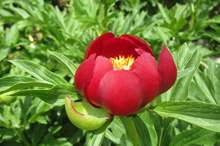 20190525_2_36616772_44790760_web-840x540