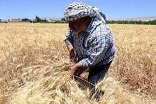 Doc-P-591171-636944194204180092 (1)