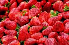 strawberries-99551_960_720-750x422