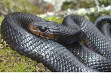 tnc_50198637_Full_4000x2200