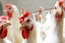 900x450_uploads,2019,05,10,93802e0e9b