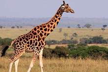 Doc-P-591670-636945690619709945