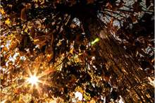 5201911102633446510669