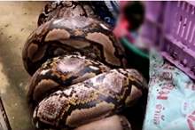 5cebbdff95a597000a8b4626