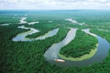 20190522122301231 (1)