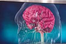 5cee499e95a5975e5c8b4647