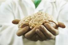 5cebe2e795a597564d8b45be