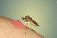 2017_9_12_12_34_35_705