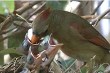 5ced45d5d4375027158b45bf