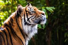 1_694y5GwOWsqflOtu_4Lj-g