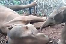 5cef902bd43750cb1c8b45f0