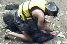 900x450_uploads,2019,05,04,bf0f5f814e (1)