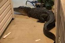 Doc-P-583653-636925618957791930