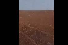 59729539_445662219574008_8611435833938935808_n